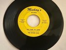 1967 NO TIME TO LEND THE OTHER KIND DETROIT 45 MICKAY'S GARAGE ROCK RECORD RARE