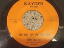 BRAM RIGG SET I Can Only Give You Everything / Take The Time 7
