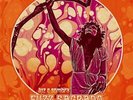 FUZZ SAGRADO: LUZ E SOMBRA [LP vinyl]