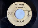 THE VIBRANTS Wildfire/Scorpion TRIUMPH 101 Killer  1962 Surf Rock/Instrumental