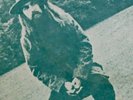NEAR MINT ORIGINAL 1970 GEORGE HARRISON MY SWEET LORD 7