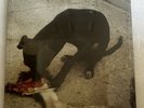 SLOWTHAI “RUNT EP” METHOD MTHDV003 LIMITED EDITION NEW SEALED 33 1/3 RPM EP