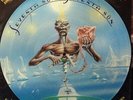 Iron Maiden - Seventh Son Of A Seventh Son (LP, Album, Ltd, Pic)