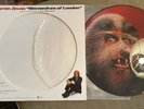 Warren Zevon Picture Disc PROMO ONLY Werewolves of London Excitable Boy