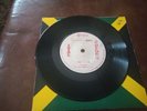 The Royals - Only for a time - Ital Coxsone UK - rare roots vocals