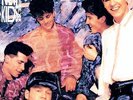 Step by Step by New Kids on the Block MASTER RELEASED 1990 Vinyl, Columbia (USA)
