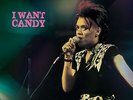 Bow Wow Wow I Want Candy - Pink / Black (Vinyl) (US IMPORT)