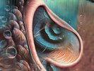 Various Artists - Meddle Reimagined - A Tribute To Pink Floyd - COKE BOTTLE GREE