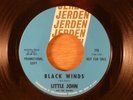 Little John & The Monks  Black Winds/Needles & Pins  Promo RARE  Garage, Psych