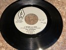 THE SUPREMES / Never Again-I Want A Guy- Tamla T-54038 Sample 45