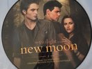 New Moon Twilight Picture Disc Vinyl Record LP Hot Topic Exclusive 45 RPM