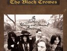 The Black Crowes The Southern Harmony And Musical Companion (Vinyl) (UK IMPORT)