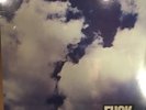 The Leaving Trains - Fuck (New LP)
