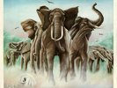 Elvis Costello And The Attractions* - Armed Forces (LP, Album, Fol)