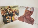 The Wrestling Album 1 & 2 - The Wrestling Album Piledriver Vinyl- Great Cond.