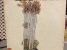 EDDIE PALMIERI AND HIS ORCH. Vamonos Pa'L Monte LATIN LP TICO SALSA MONO