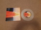 Muse Sing for Absolution Vinyl EP Fury B Side