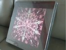 Blackpink 1st Vinyl LP The Album (18888 Limited Edition)