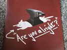 Lovejoy Are You Alright / Pebble Brain White Vinyl LP VERY RARE