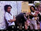 morwells  - Cool Runnings [VINYL] lp new sealed