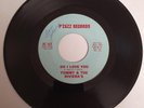 NORTHERN SOUL, Tommy & The Riviera's – Do I Love You