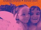 Smashing Pumpkins - Siamese Dream 2LP 180 gram gatefold US release free post
