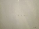 The Beatles White Album Lp