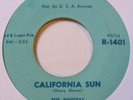 (45) (Hear) The Rivieras - California Sun / HB Goose Step - Surf / Garage (1964)