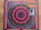 Grateful Dead Boston Garden, MA 5/7/77 Live' RSD 2023 180G Vinyl Box Set In Hand