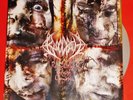 Bloodbath: Resurrection Through Carnage - Limited Edition Silver Vinyl LP NEW