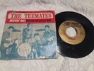 THE TEEMATES Movin' Out 1964 PICTURE SLEEVE (no 45) Garage Freakbeat Beat Group