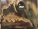 TOAD - Self Titled 1971 HARD ROCK HEAVY PROG Reissue Akarma Reissue Vinyl LP