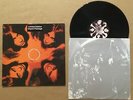 THEE HYPNOTICS Come Down Heavy EUROPE VINYL LP Jim Jones and the Righteous Mind