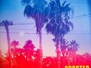 Dogstar Somewhere Between Power Lines Palm Trees Watermelon Vinyl Signed Insert