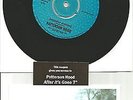 Drive By Truckers R.E.M. PATTERSON HOOD UNRELEASE TRX 2000MADE RSD 7 INCH VINYL