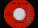 Garage 45 - Unknown IV - I Want You To Be Mine - JCP