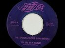 Garage Psych Fuzz 45 - Spontaneous Generation - Up In My Mind - Fevre