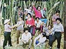 ORQUESTA INTERNACIONAL - MIMA LA PULULERA