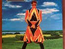 DAVID BOWIE Earthling 180g GREEN Vinyl LP Friday Music 2015 RSD US Ltd Edition