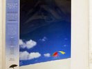 CHRIS REA ON THE BEACH MAGNET VIL28042 JAPAN OBI VINYL LP