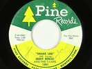 R&B Rocker 45 - Eddie Renae & The Titans - Snake Leg - Pine
