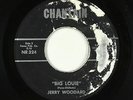 Rock & Roll Mod 45 - Jerry Woodard - Big Louie - Chantain - Dan Penn