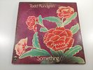Todd Rundgren Something / Anything? Bearsville  1972 Vinyl LP FREE SHIPPING