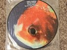 Vince Staples - Big Fish Theory (2017 Limited Edition Picture Disc Double LP)