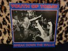 YOUTH OF TODAY Break Down The Walls LP RED VINYL revelation Hardcore Punk.