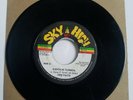 Fire Facts Earth In A Turmoil - Sky High Reggae 7