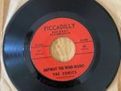 1967 The Sonics Anyway The Wind Blows 7