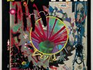 ORIGINAL Vtg 1988 LIVING COLOUR Album VIVID Record 1ST PRESS Vinyl Lp EXCELLENT