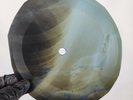 BEATLES PAPERBACK WRITER X-Ray USSR Record Roentgen Bone Ribs Music Vinyl