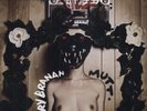 Cory Branan - Mutt LP NEW